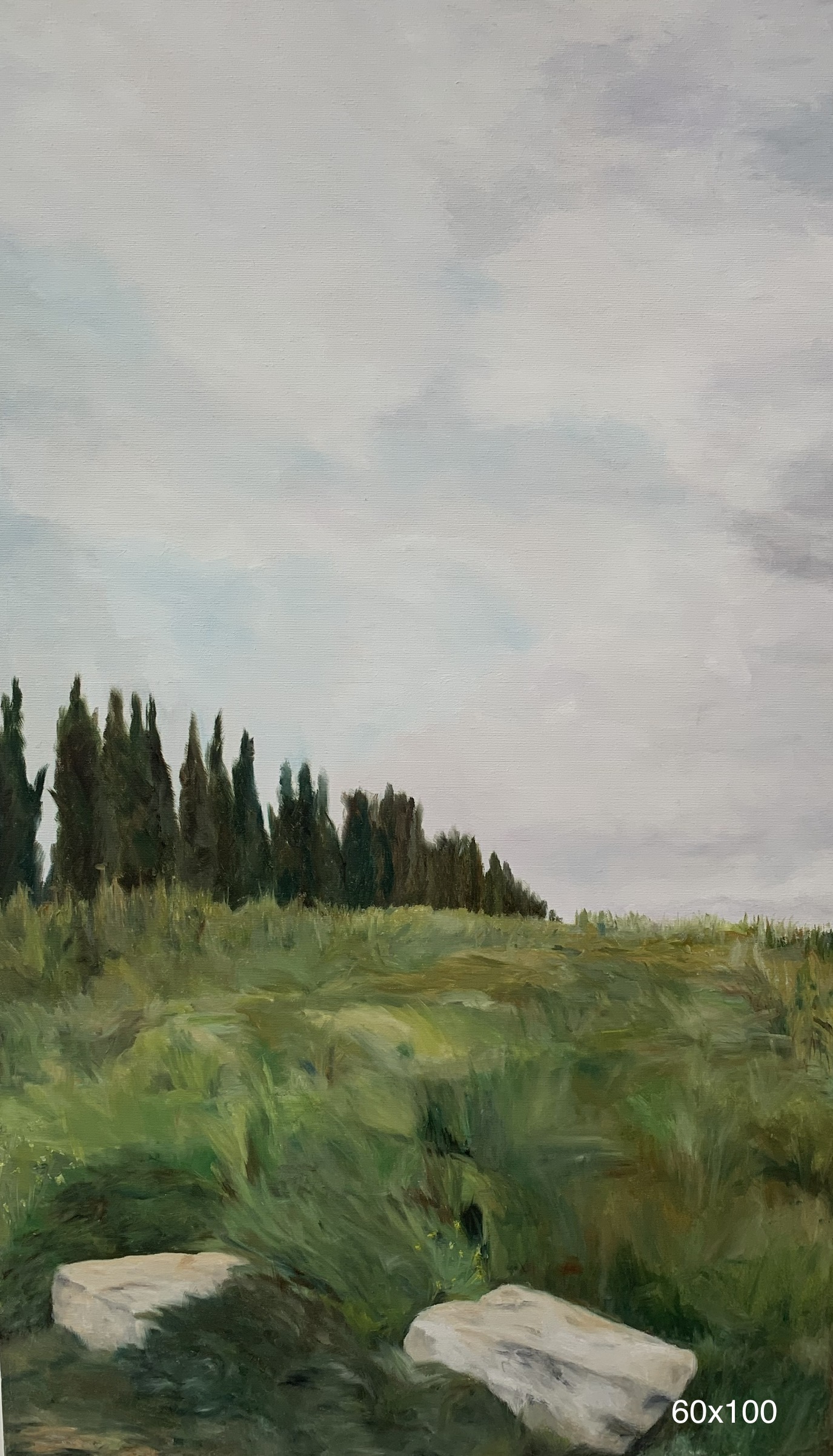 ציורים שדה ירוק